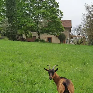 Stirpe Nel Bosco - Fiocco , Montevettolini Italia